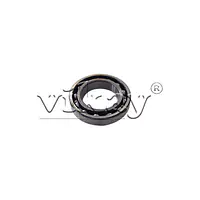 Bearing 0502111100 Replacement - Master