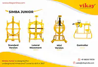 Junior Simba - Master