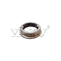 Check Valve Bushing C065315 Replacement - Master
