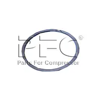 Ring Retaining Y1040T3 IM Replacement - Master