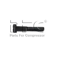 Screw Cap 5/16 x 1-3/4 70212162W - Master