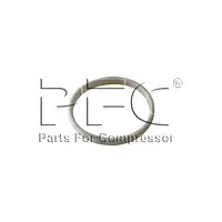 Ring Piston Unloader 30613236 Replacement - Master