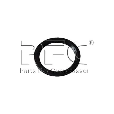 Seal Crankshaft Oil 95225660 Replacement - Master