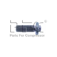 Set Screw Valve 97074066 Replacement - Master