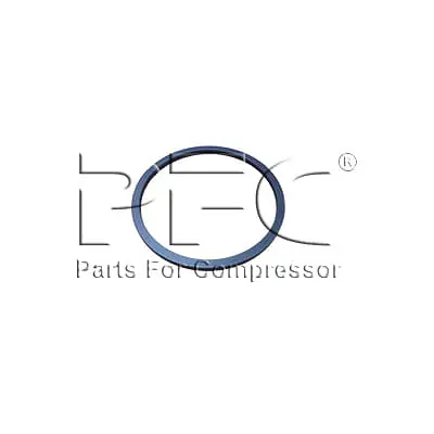 Ring Piston 9 Inch Ihe 95107728 Replacement - Master