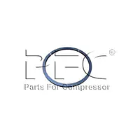 Ring Piston 9 Inch Ihe 95107728 Replacement - Master