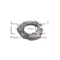 Ring Oil Scrapper 95045936IM Replacement - Master