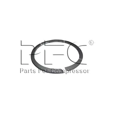 Ring Piston 8 Inch 95107710 Replacement - Master