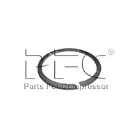 Ring Piston 8 Inch 95107710 Replacement - Master