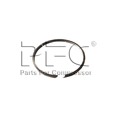 Ring Piston 95016044 Replacement - Master