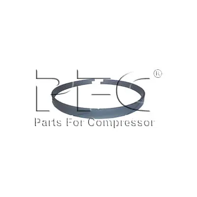 Ring Wearing 12 Inch 39535257 Replacement - Master