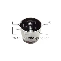 LP Piston C/W Pin 32496564 Replacement - Master