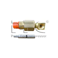 Pilot Valve Assy 37046869 Replacement - Master