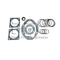 Ring-Gasket Kit 32198301 Replacement - Master