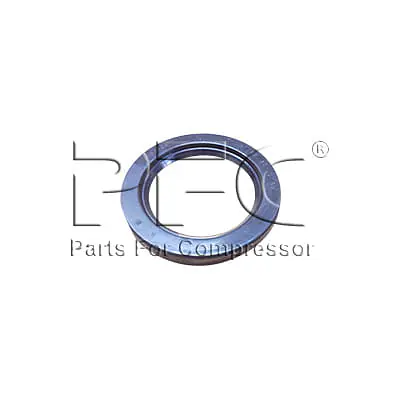 Seal ring 0666853500 Replacement - Master