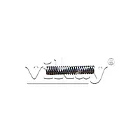 Spring Washer C011070 Replacement - Master