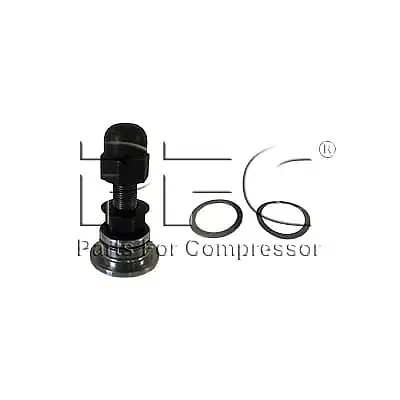Valve 20GA Complete 31517725 Replacement - Master