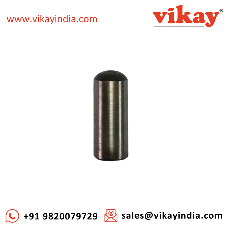 Plunger 3100964101 Replacement - Master