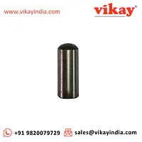 Plunger 3100964101 Replacement - Master