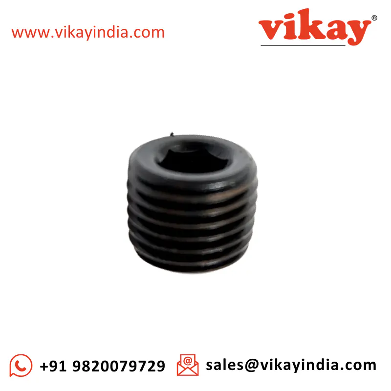 Plug Pipe P009876 Replacement - Master