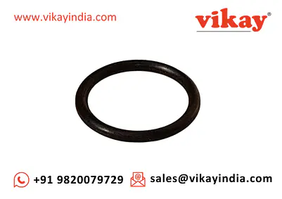 O-Ring 663211200 Replacement - Master