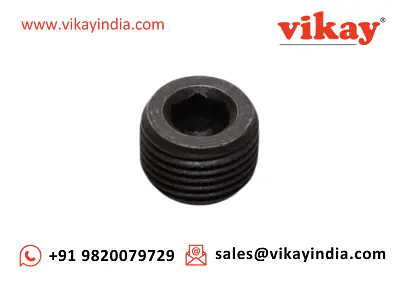 Throttle Plug C059643 Replacement - Master