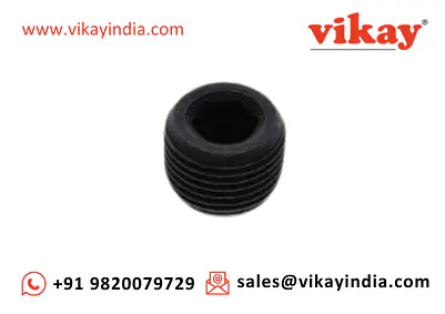 Oil Plug C077941 Replacement - Master