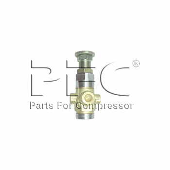 Valve regulating compl1011351080 Replacement