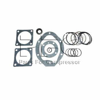 Ring-Gasket Kit 32198301 Replacement